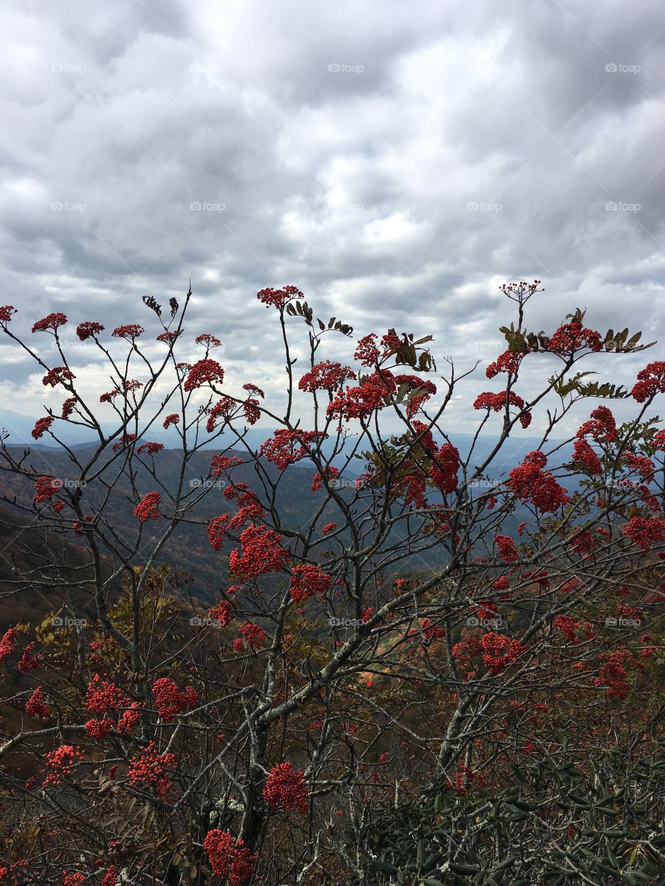 Blue ridge mountains 