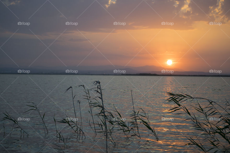 Sunset at the Albufera