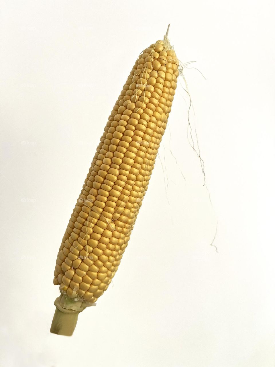 Corn kernels shot close-up on white background