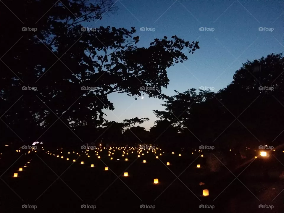 Luminaries