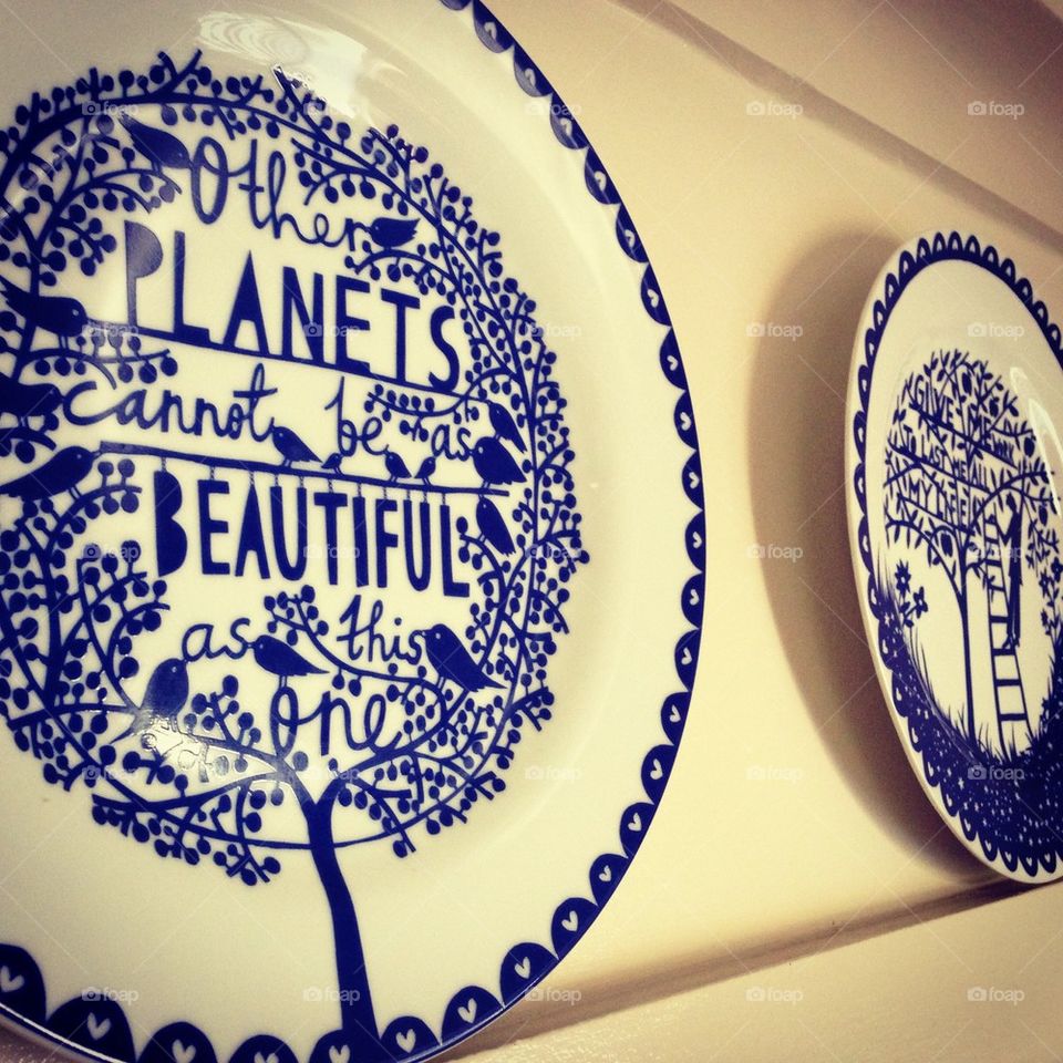 Rob Ryan plates