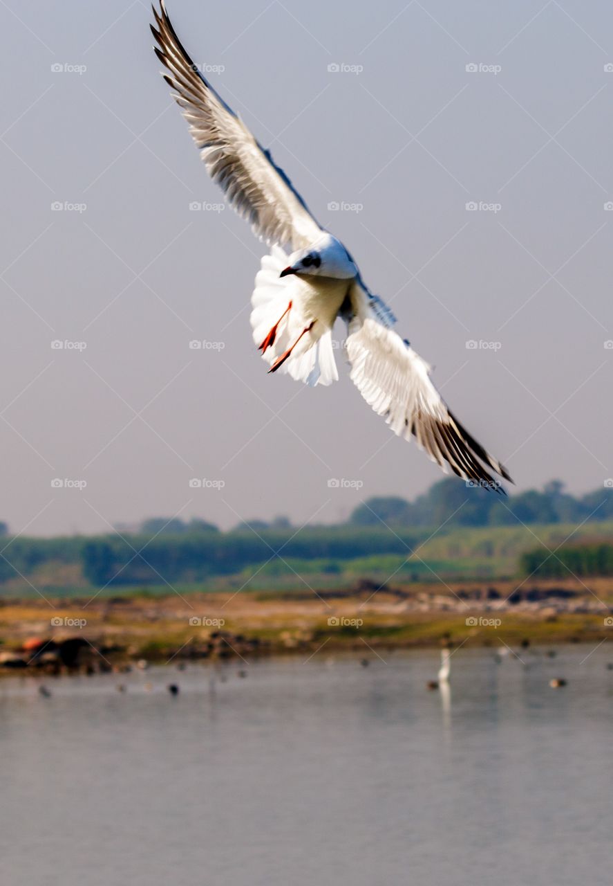 live free or die...💕