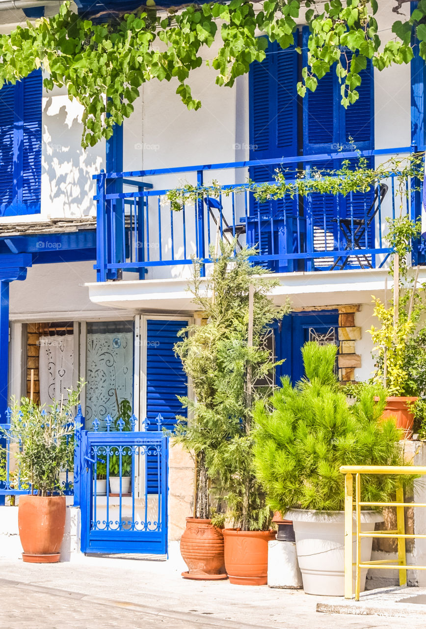 Greek Traditional House With Blue Windows And Doors , White Wall, And Plants
