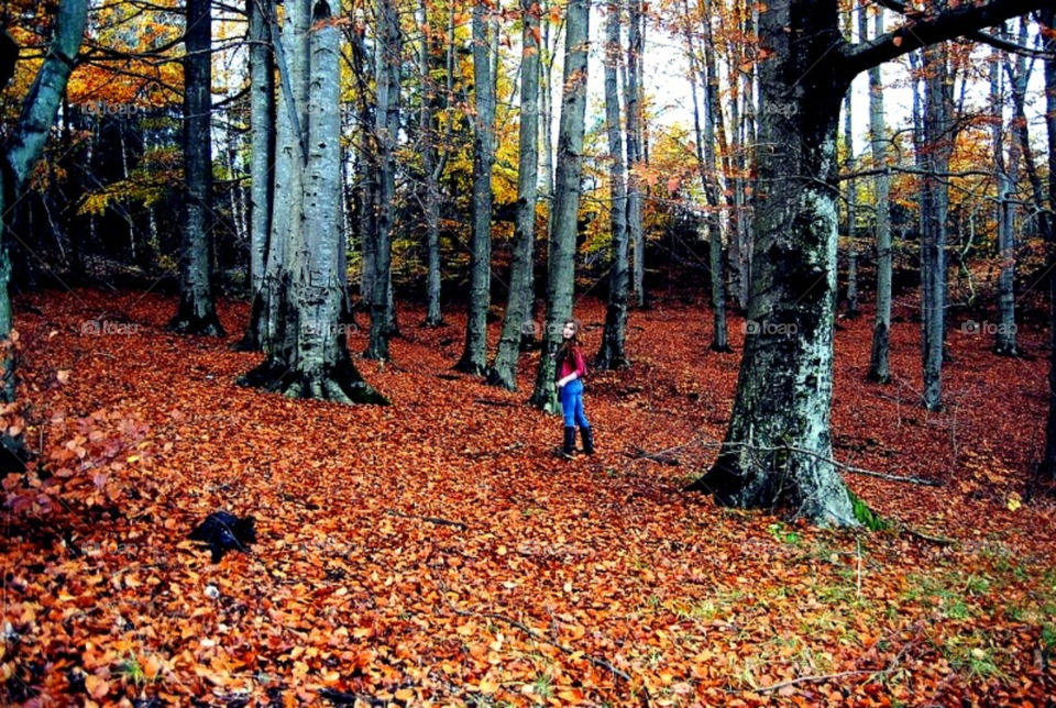 landscape girl trees leaves by merethe