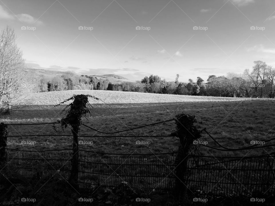 Devon countryside looking amazing in black and white beauty.