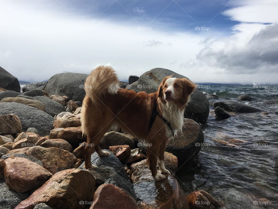 Epic stance by shore