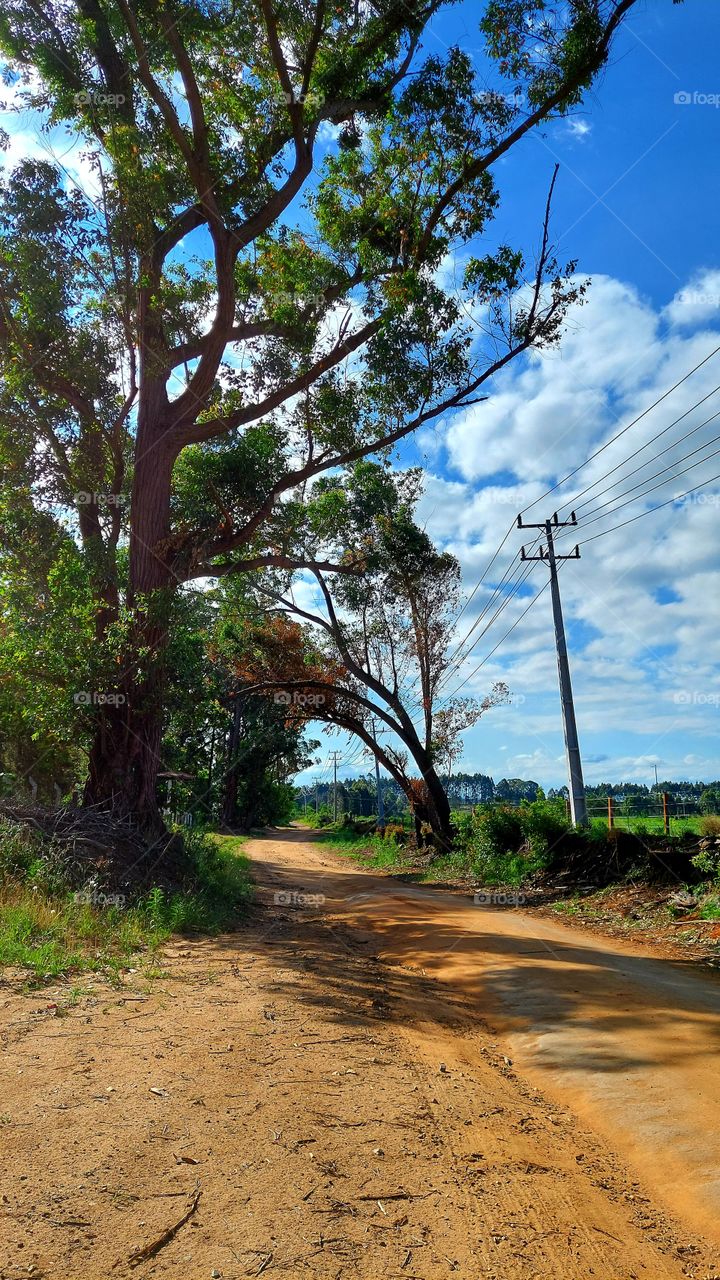 Portal para a tranquilidade,  sossego e cheiro de mato que serena a alma.