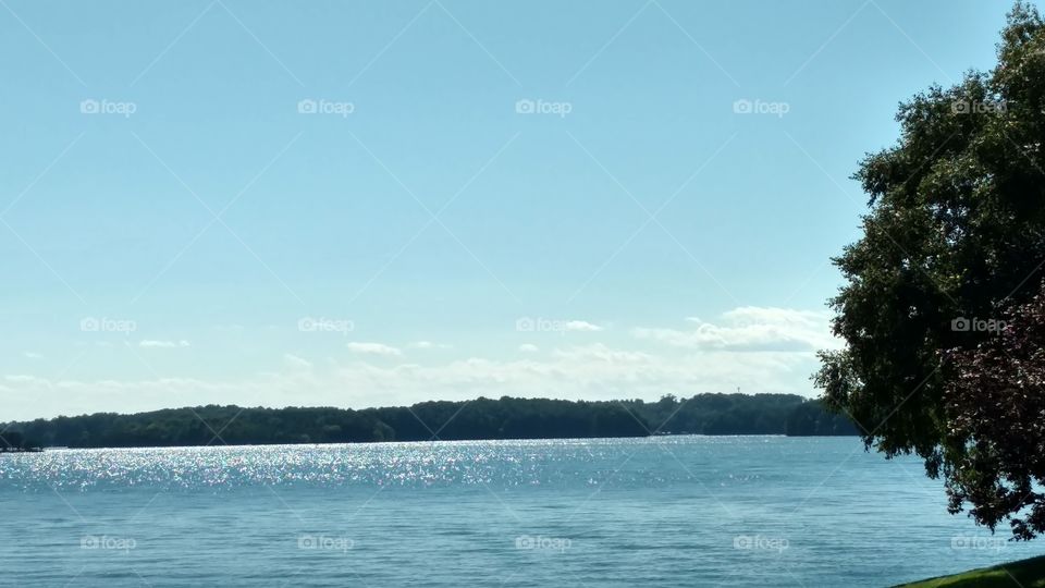 Water, Tree, No Person, Outdoors, Nature