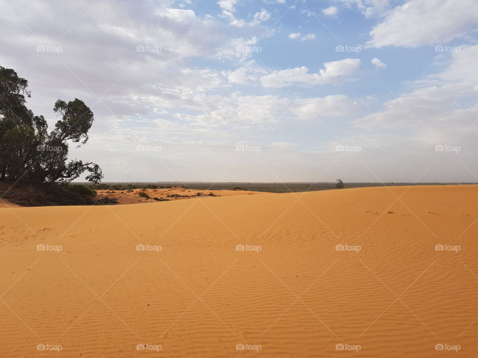 desert australia
