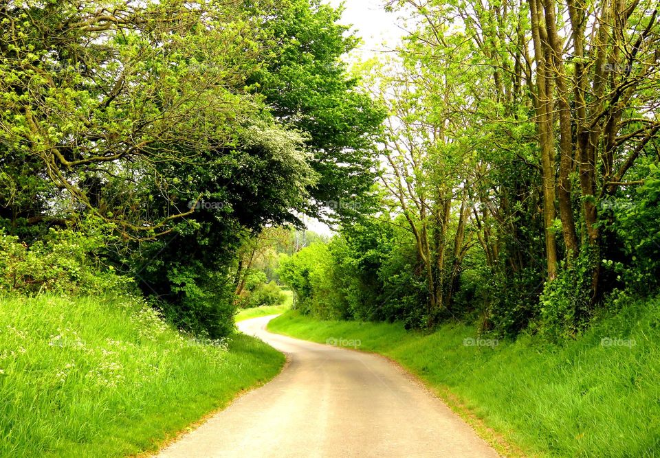 green road