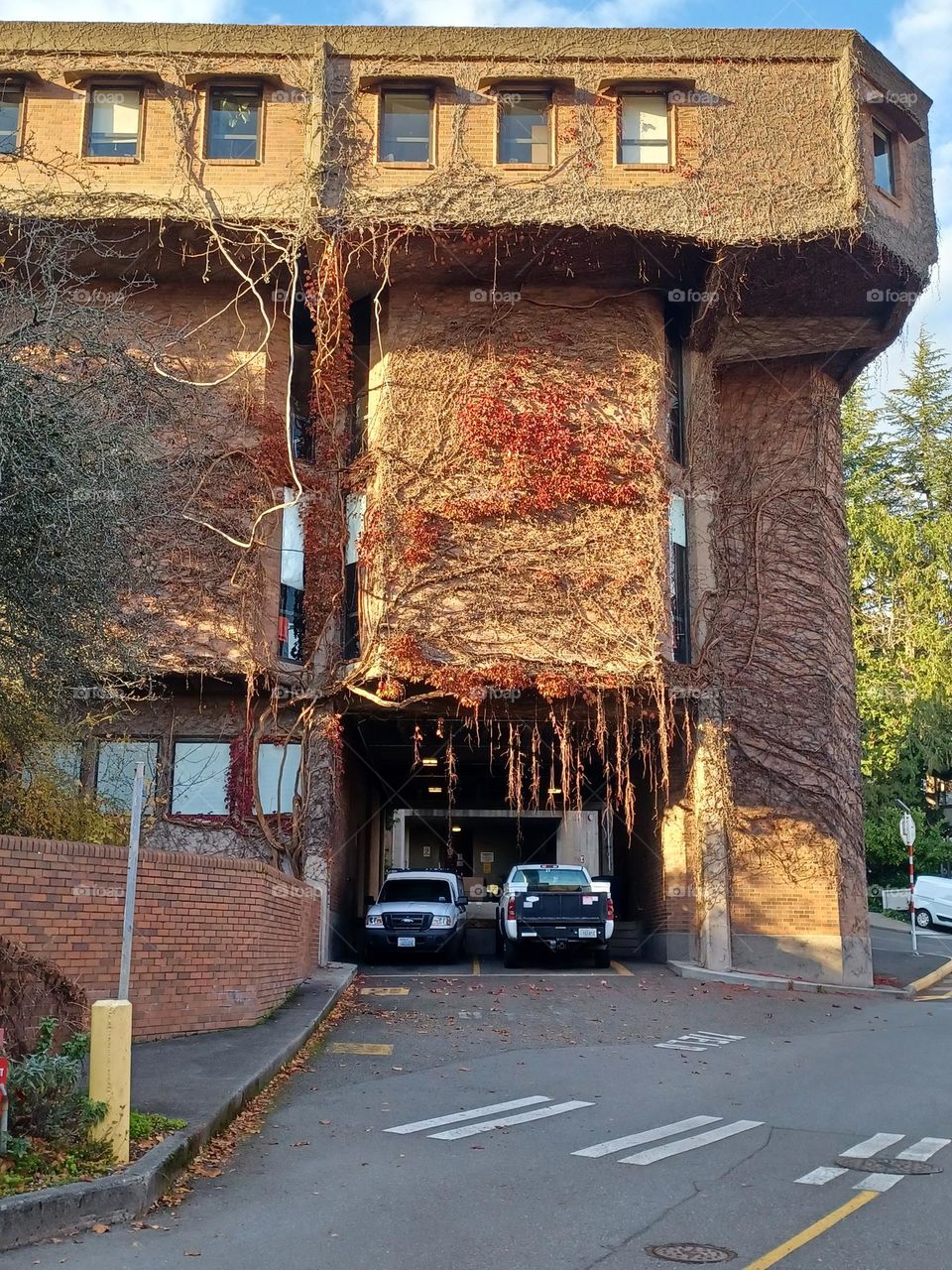 schools and universities series