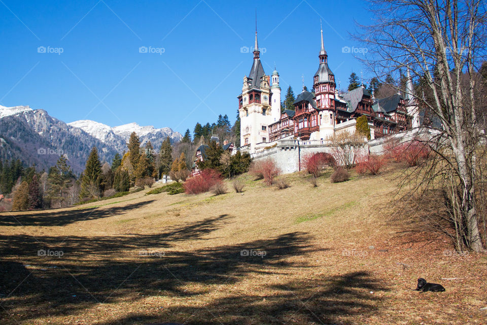 Peles castle