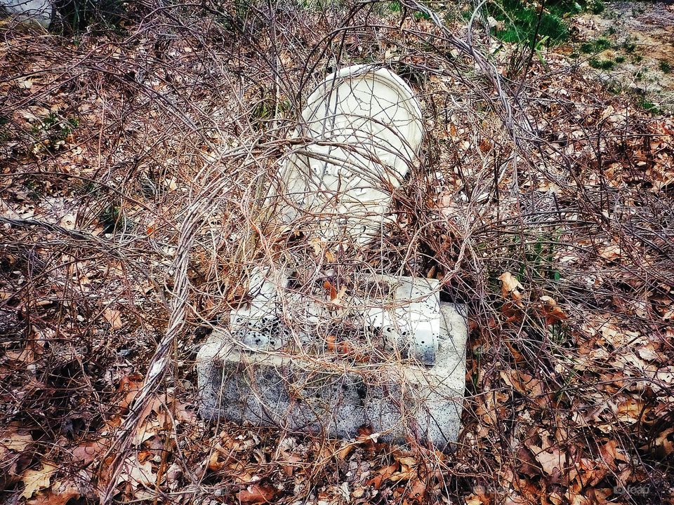 Union Cemetery 