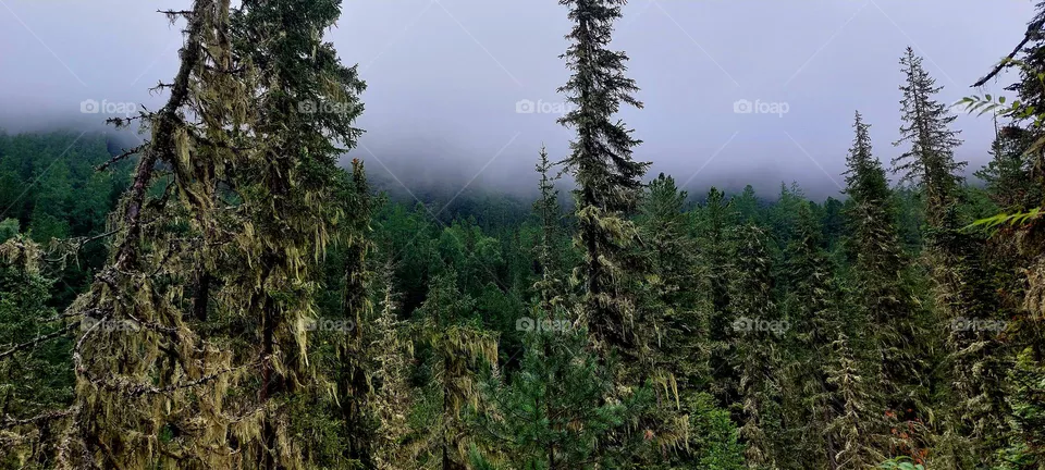 Altai mountains