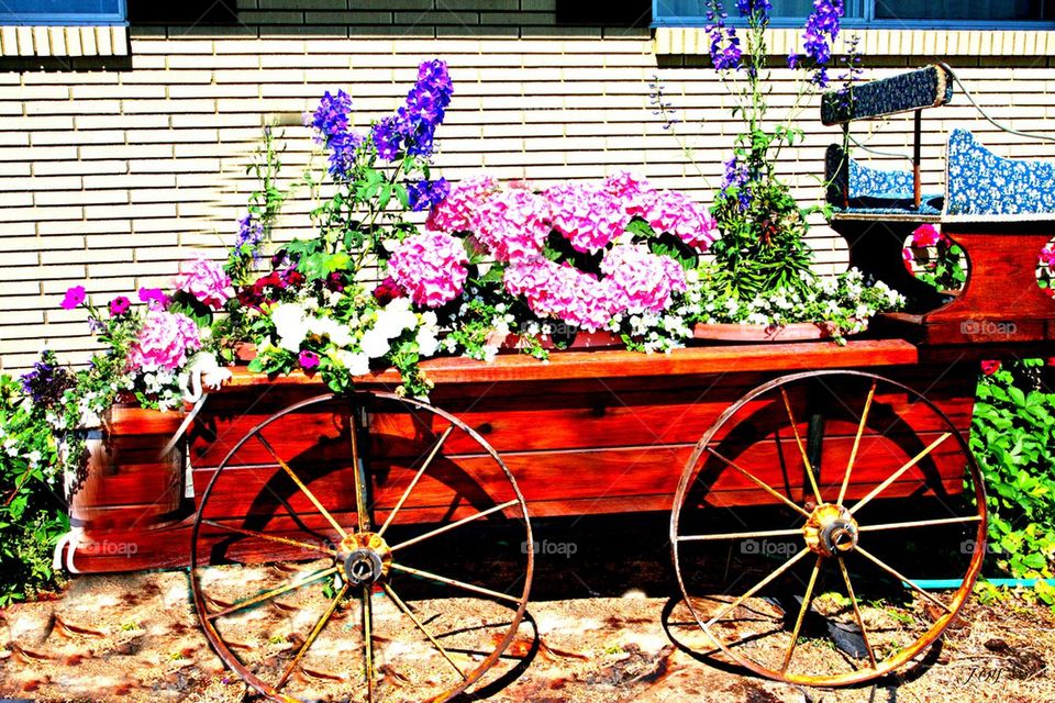 Wagon of flowers