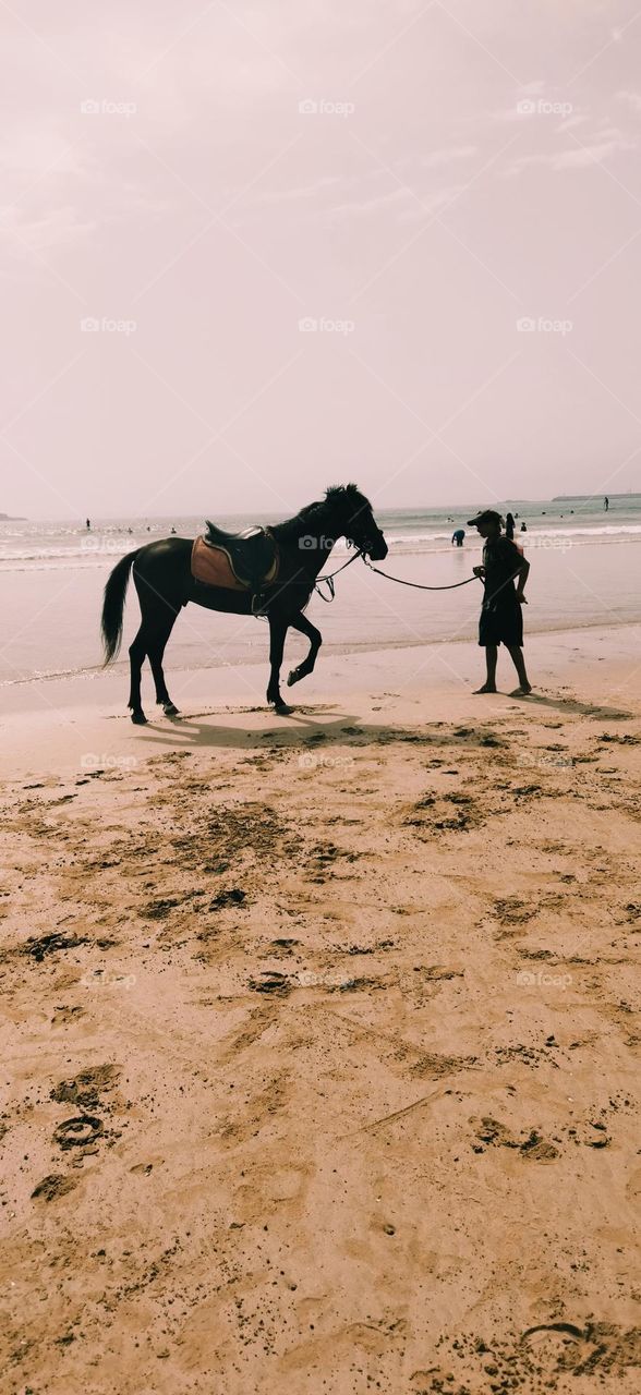 a young man in a trip with his black horse near the beach at essaouira city in Morocco.