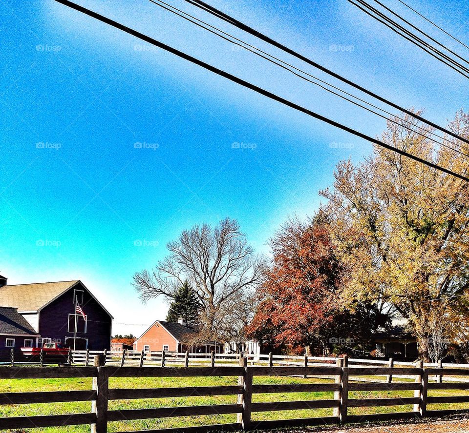 Autumn in New England