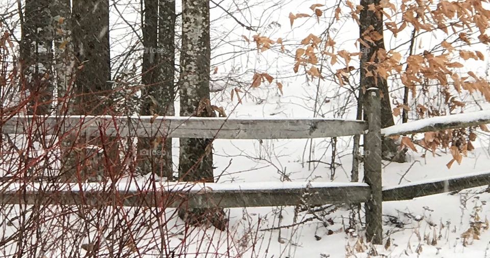 Snowy fence