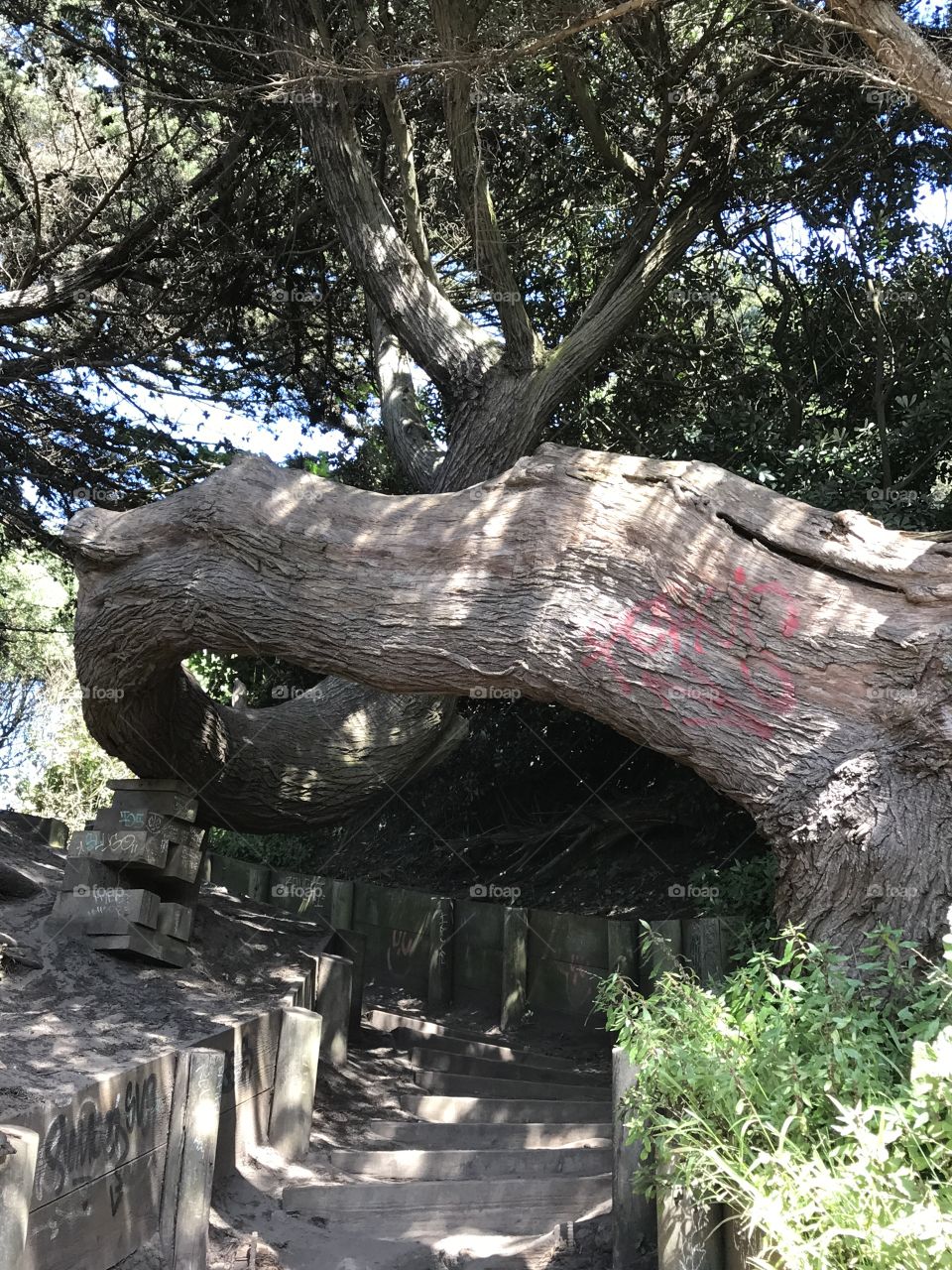 Hiking at Lands End