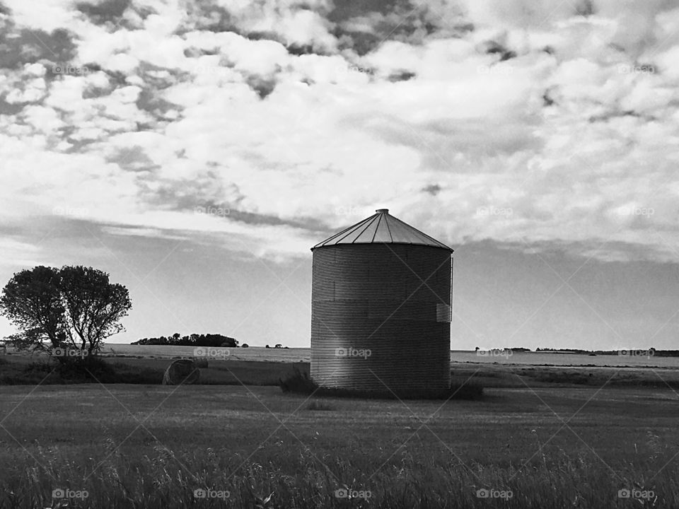 Grain bin 