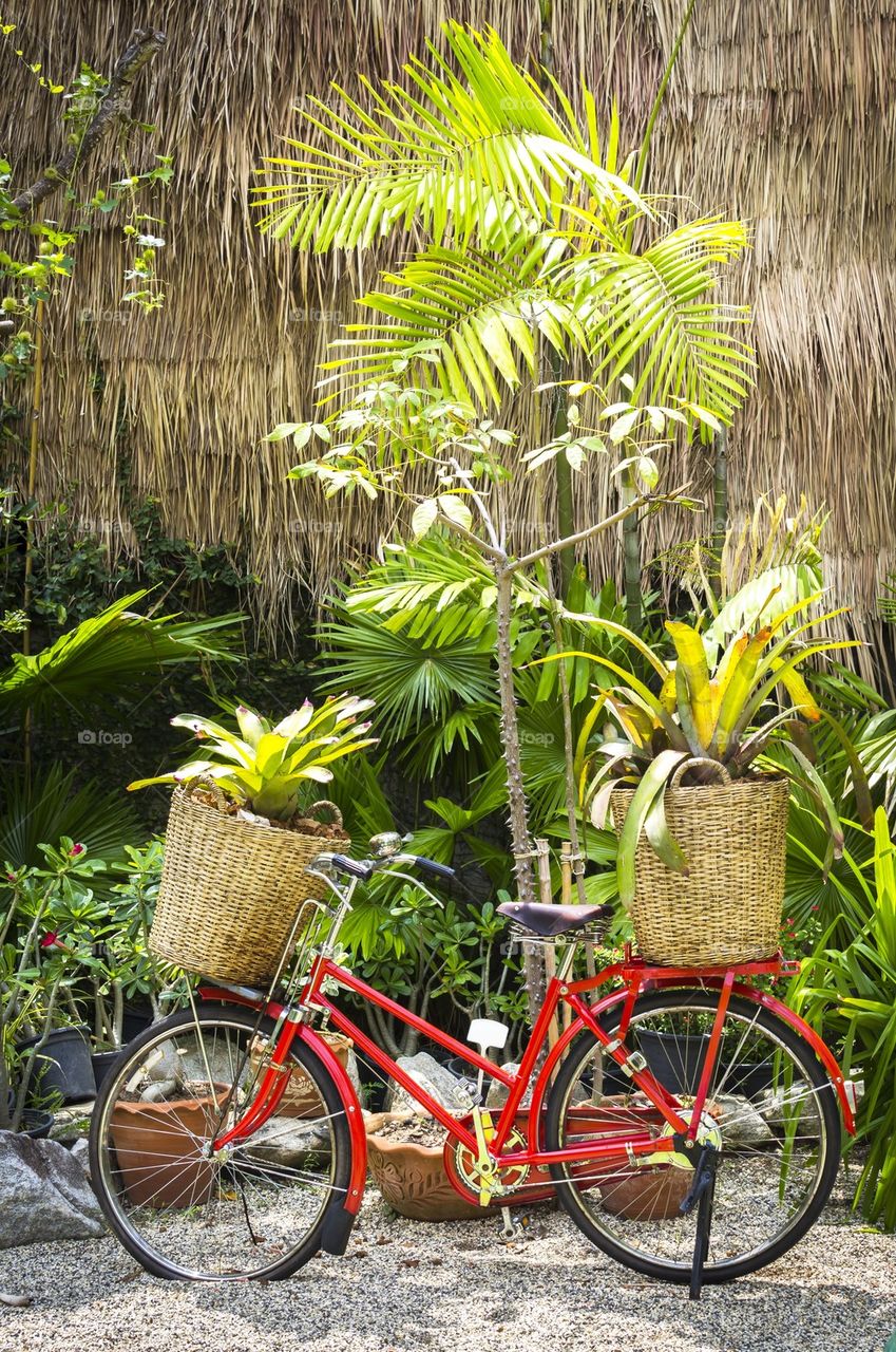 Red bicycle decorated with plants