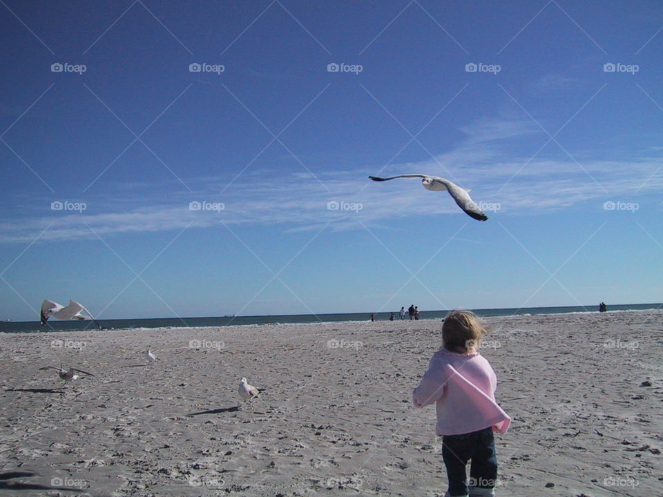 Beach Fun 