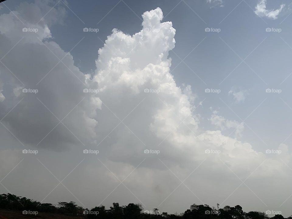 The wonders of the earth, one will think that the earth end behind that forest 😁