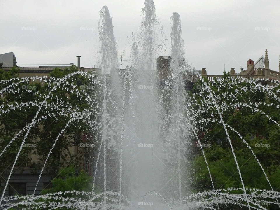 The fountain
