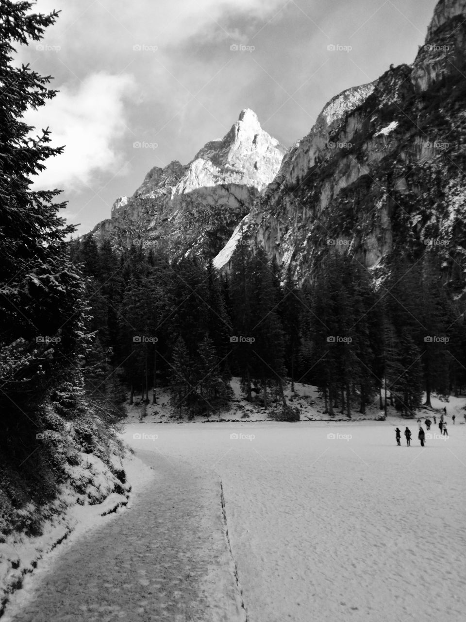 Snow on the mountain 