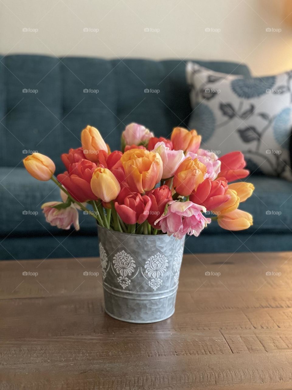 Colorful Tulips