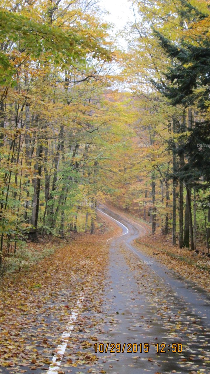 Northern Michigan 