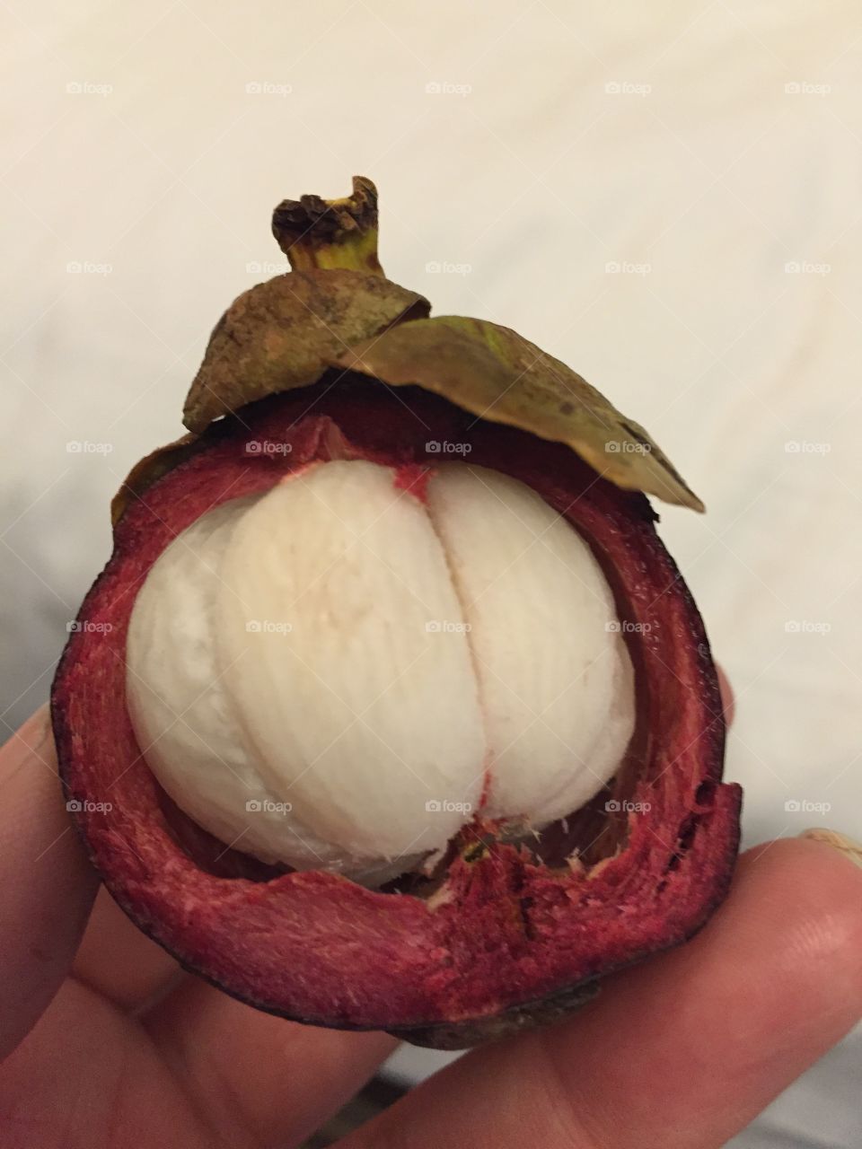 Mangostein