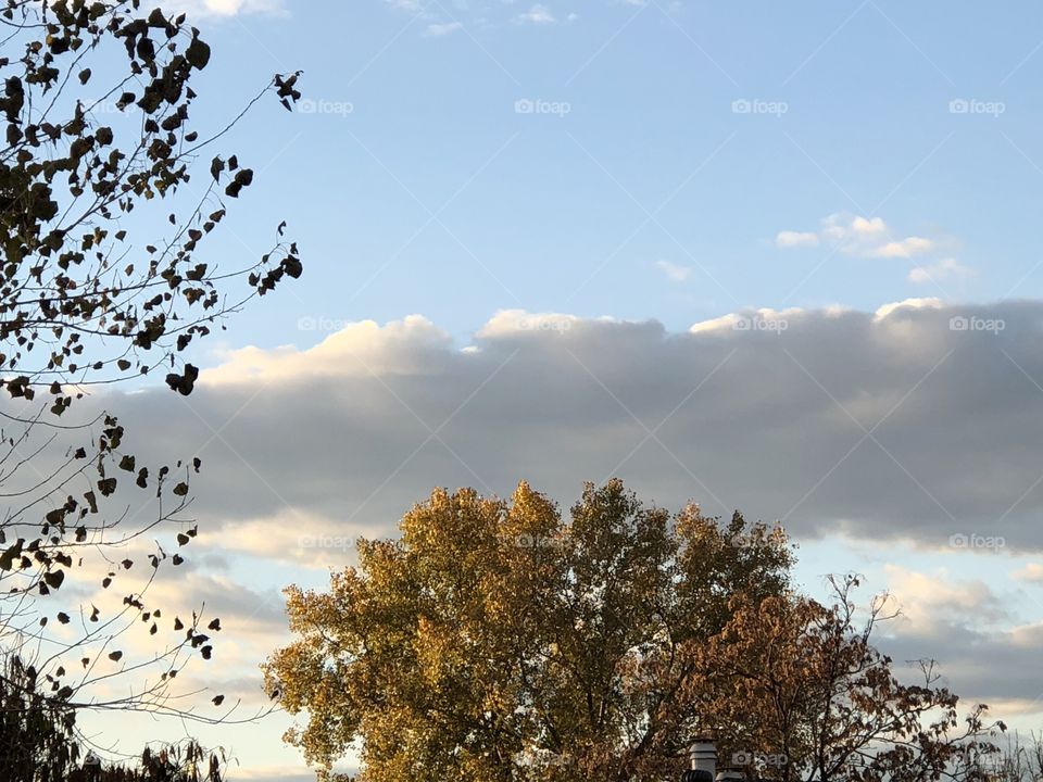 Dark cloud on an early morning cool fall day