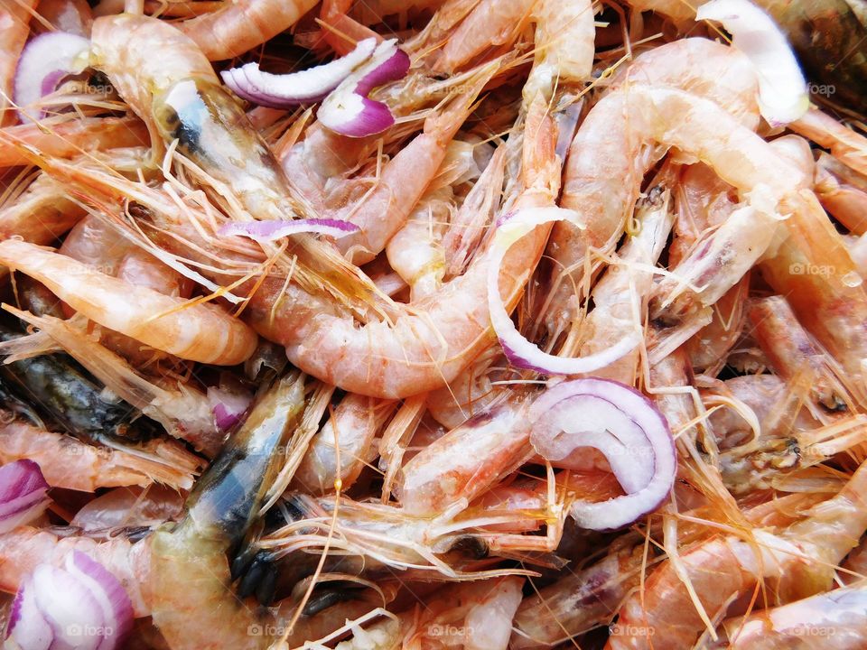 shrimp