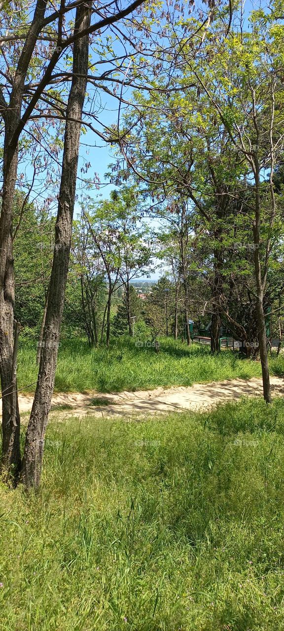 magical nature pictures