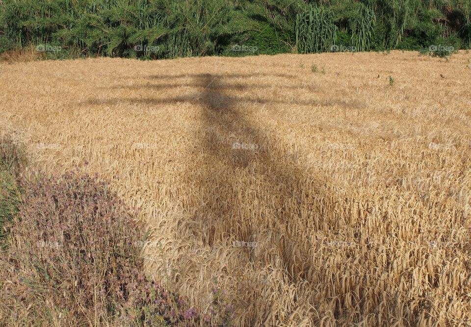 Shadow of electric tower in field