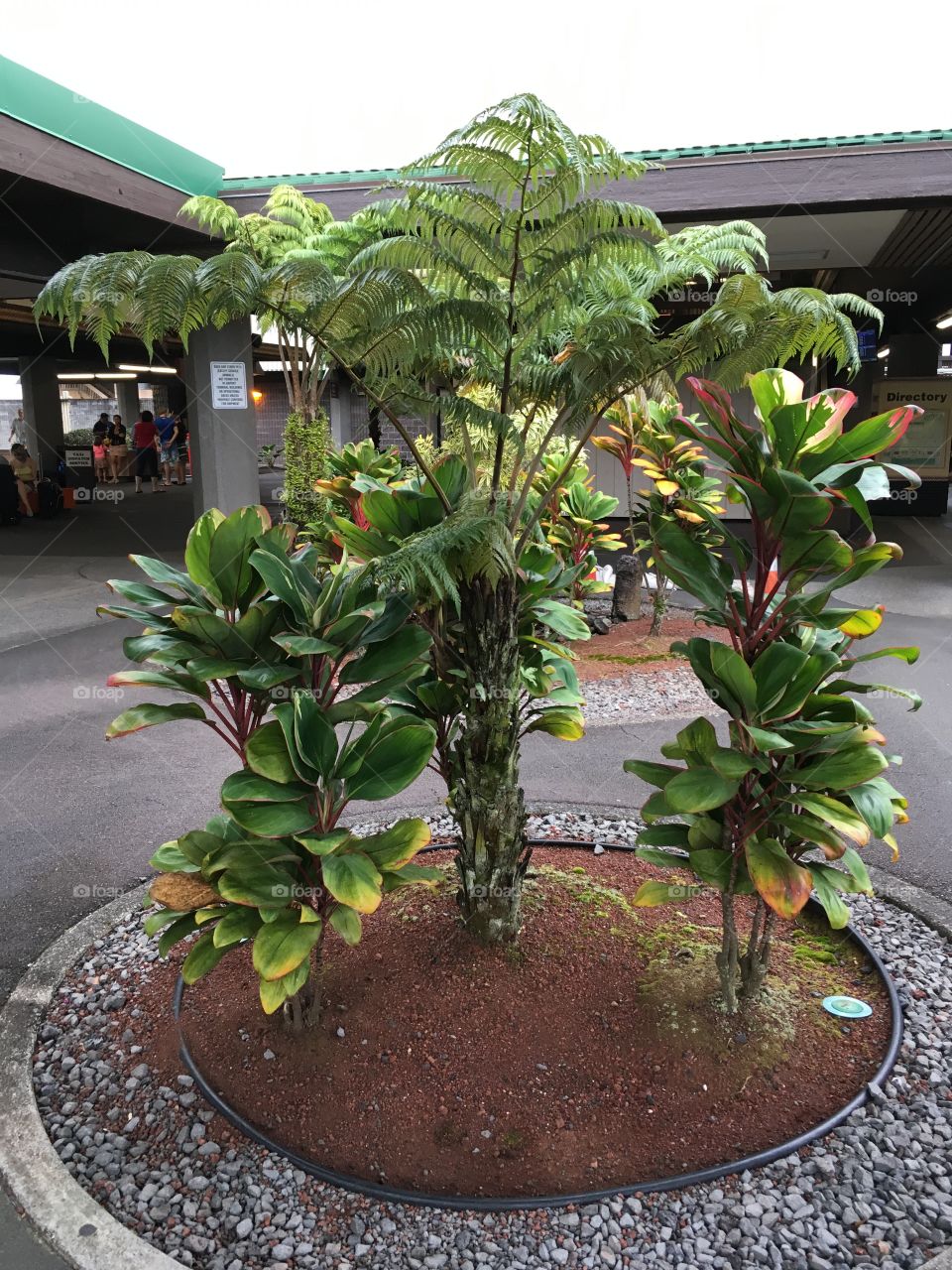 Hilo Airport, Hawaii