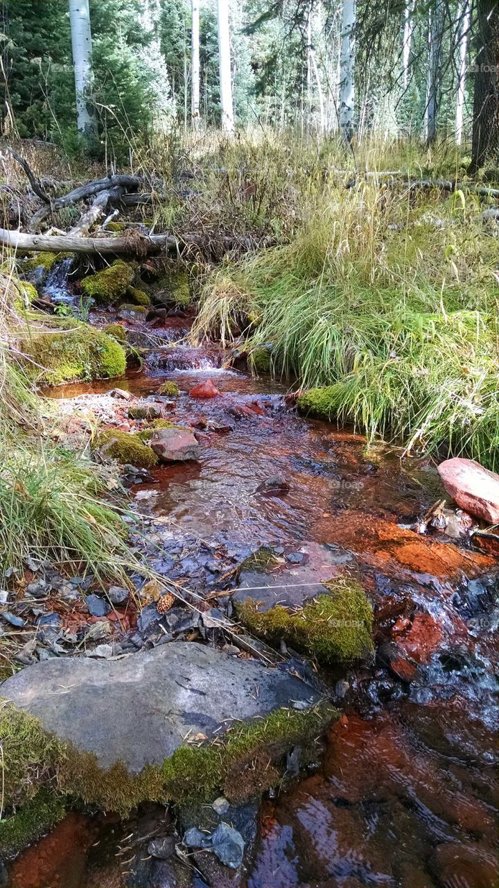 Crystal clear spring water flows on the red rocks.