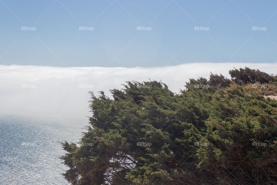 Landscape with thick clouds and trees