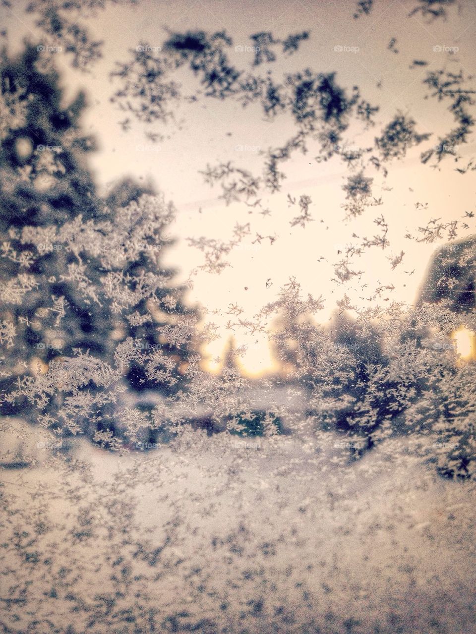 Close-up of frozen glass