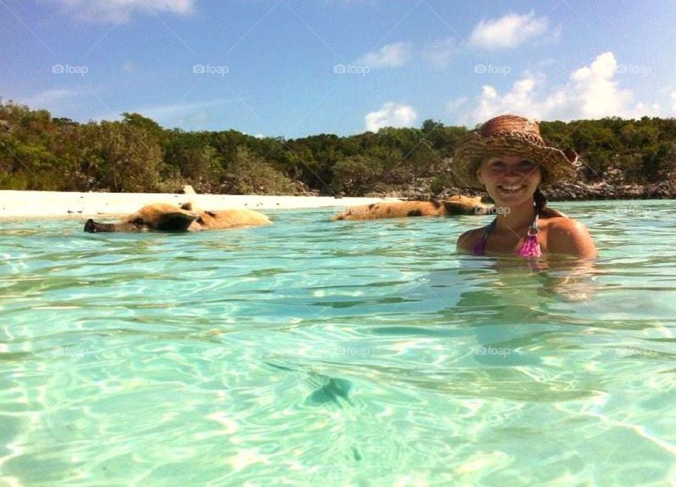 Swimming pigs in the Bahamas