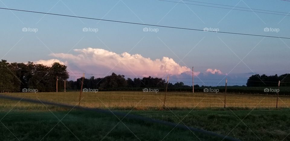 Pink clouds
