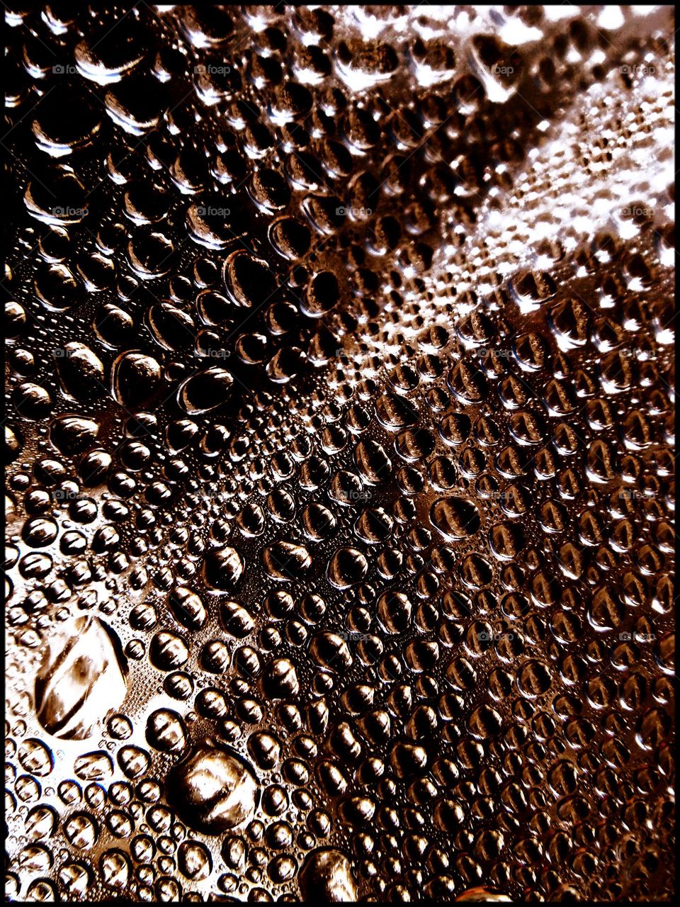 Water droplets close up shoot colorful background summer feeling amazing nature scape exploring forest droplets macro picture