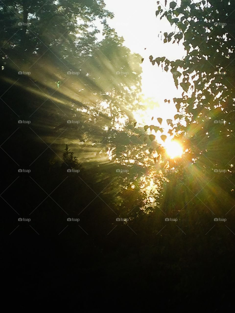 On my visit to my childhood place I had a walk with my brothers and come across that beautiful rays of light