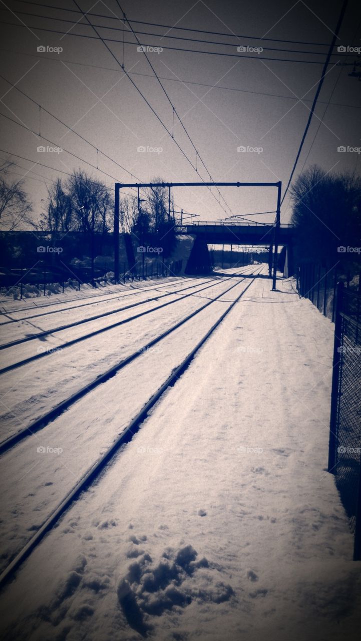 snowy tracks