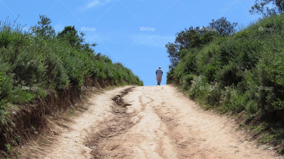 Hiking trails