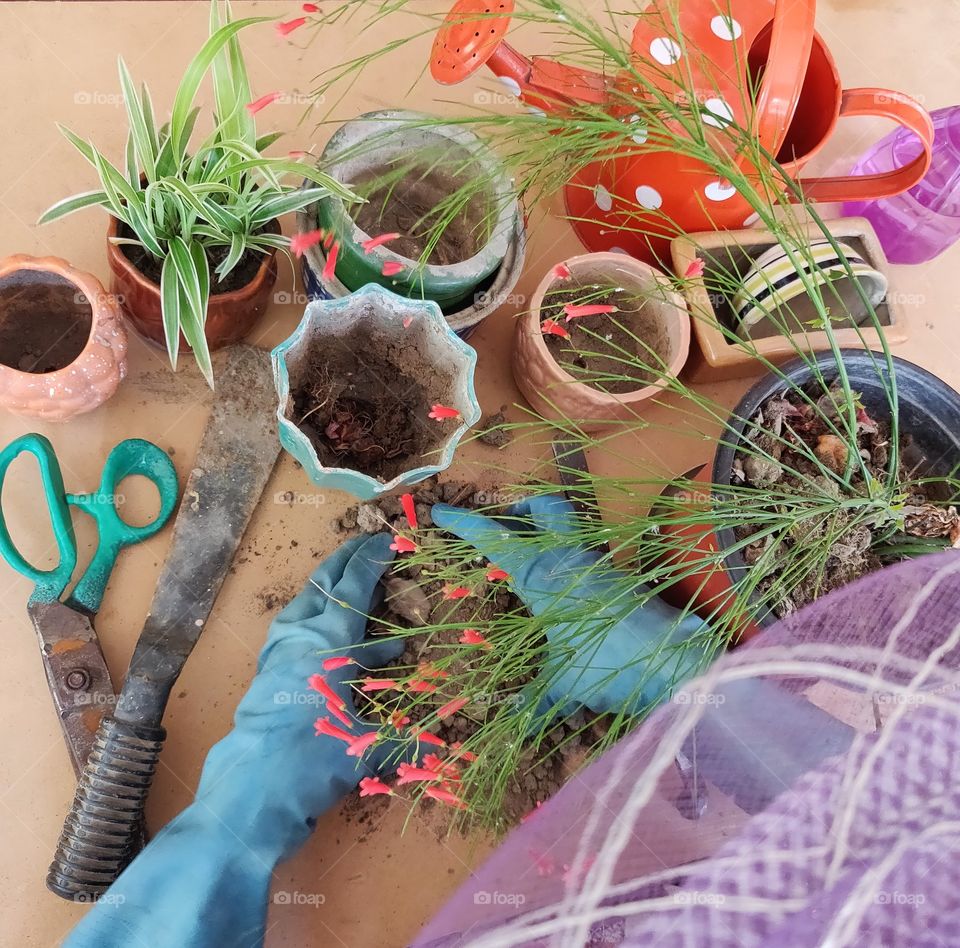 woman gardening at her home in the terrace