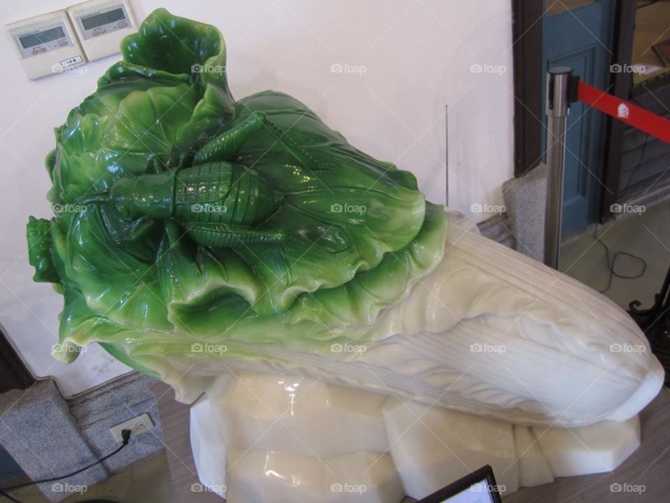 Jade Cabbage