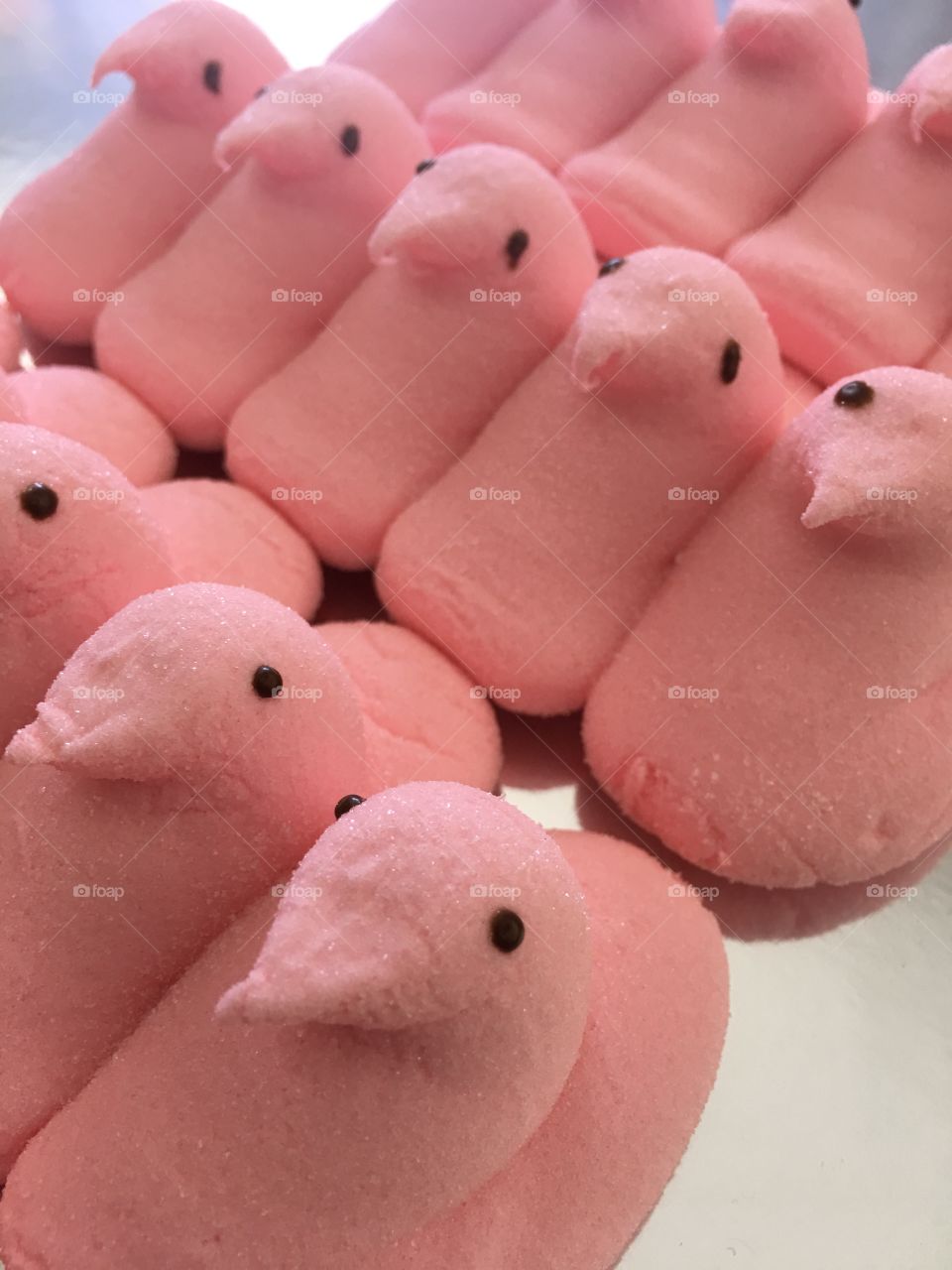 Pink Easter Marshmallow Peeps