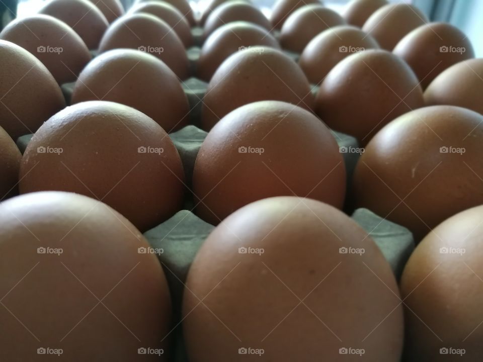 raw of eggs
